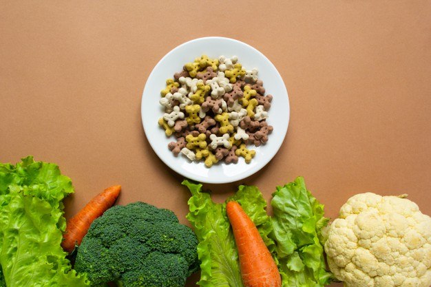 Dog Food Fest